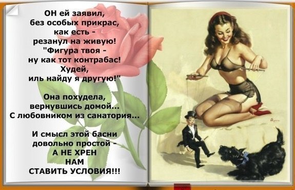 Афоризмы про фигуру Афоризмы про фигуру
