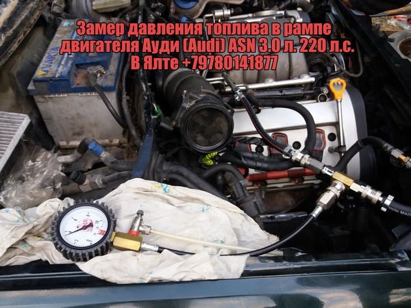 Диагностика автомобиля Ауди (Audi) ASN 3.0 л. 220 л.с. В Ялте+79780141877 измерения давления топлива в рампе в двигателе.