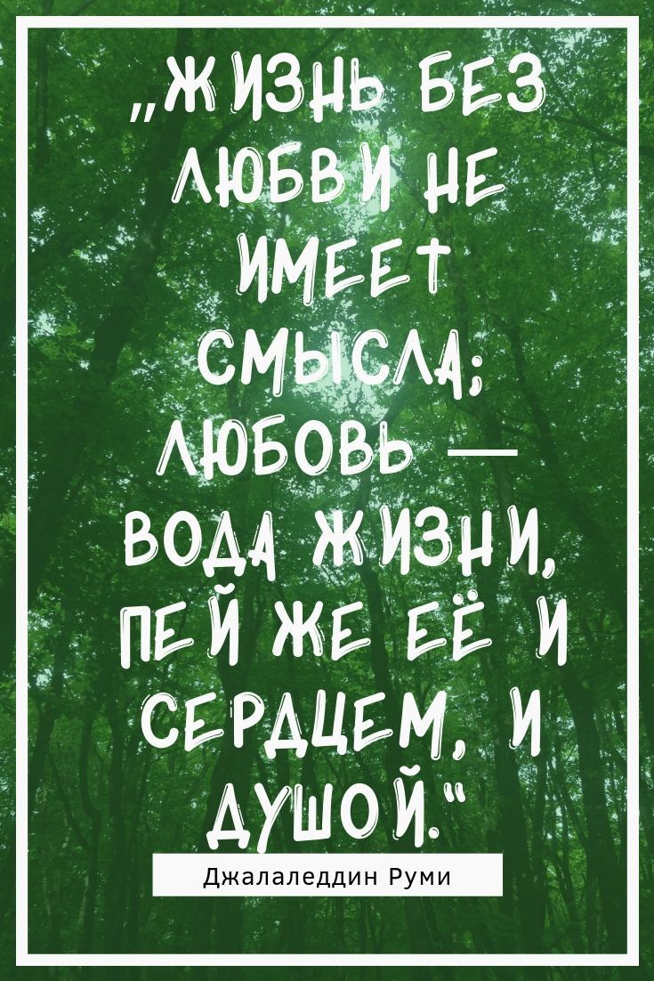 Плохой перевод. Руми цитаты о жизни. Высказывания Руми. Руми цитаты высказывания. Руми цитаты о любви.