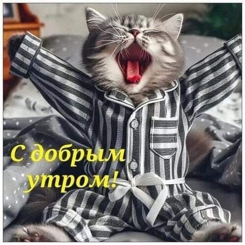 С новым днём!☕️