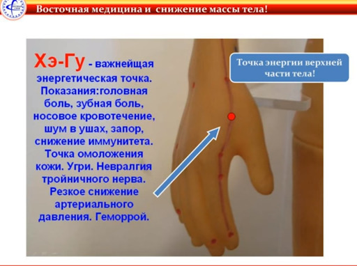 Точка хэ гу расположение на руке фото