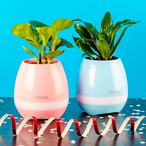 🎄 Flowerpot — это устройство 5 в 1 - горшок для цветов, цветомузыка, ночник, bluetooth колонка,
а самое главное музыкальный инструмент!
🎁 Посади в него растение и каждый листок будет издавать определённую ноту!
💰 Скидки заканчиваются! Успей!
https://kitmag32.ru/product/flowerpot-muzykalnyj-cvetochnyj-gorshok/