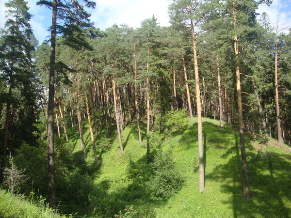 Ленинский парк в сарапуле