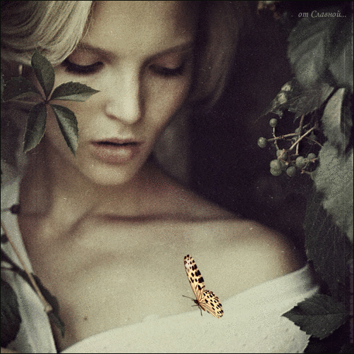 И трепет крыльев бабочки рождает ветер времени,
Его дыханье лёгкое ты ощутить спеши…
Летят часы с минутами, как лошади без стремени,
А жизнь – всего мгновение у вечности души…

Антуан Девалье