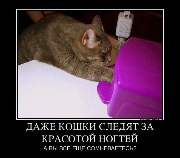 Картинки с надписью о маникюре, новый