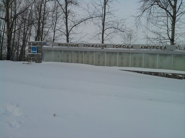 Поплавок амурск Поплавок амурск