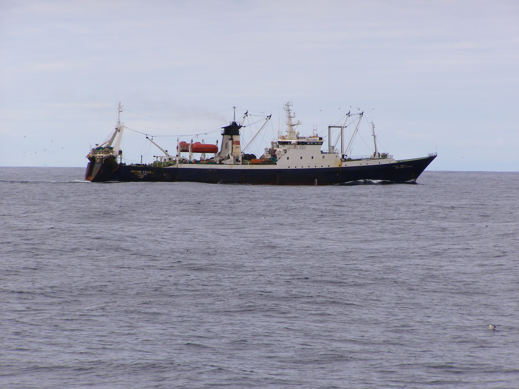 Возьму судно. Капитан телов судно. Рыболовное судно Охотское море. Рыболовецкое судно Охотское море. Василий Лиманов траулер.