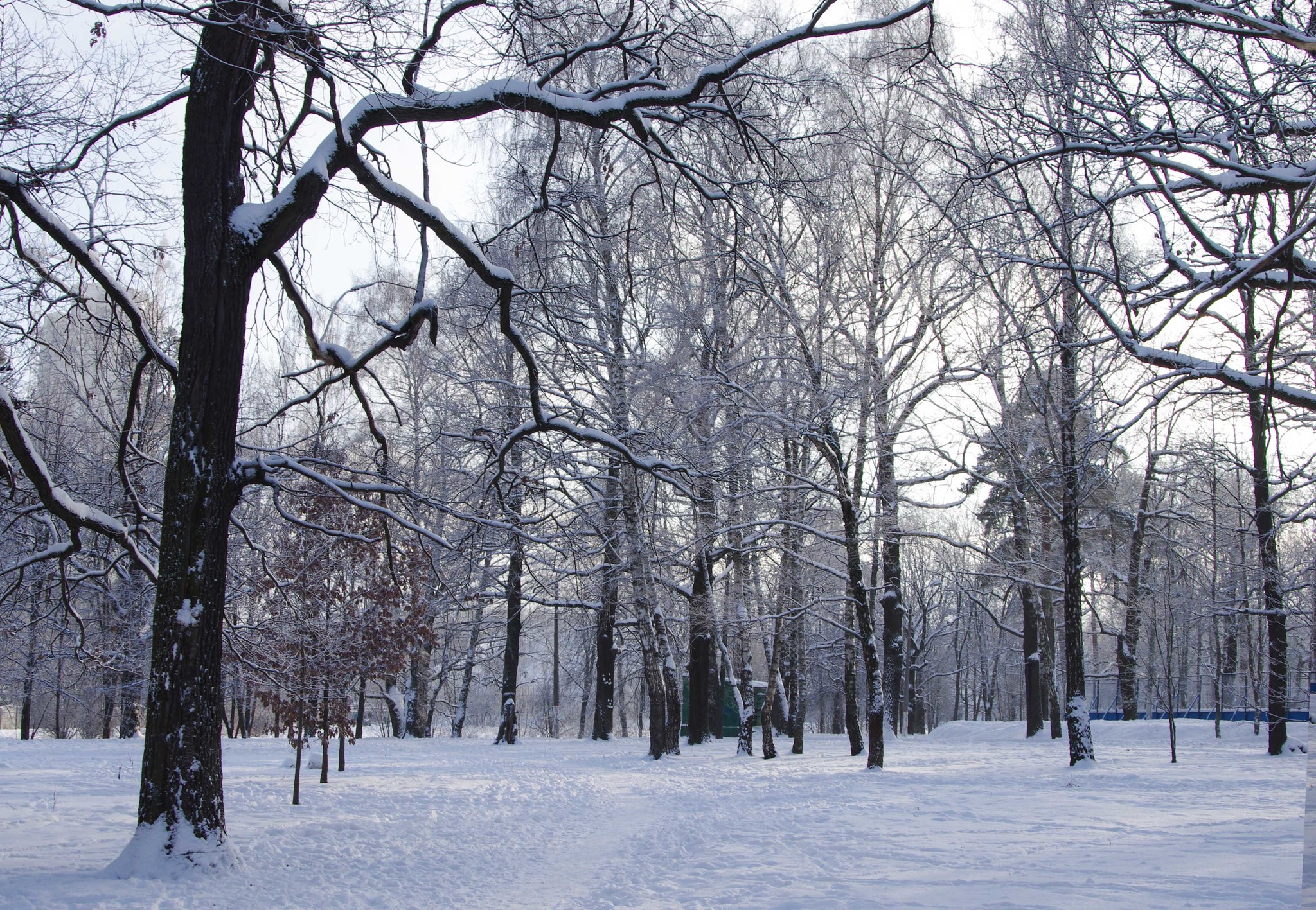 Самая поздняя зима. Зима фото обычные. Фото зимы для проекта. Херсон зимой фото. Зима немного информации.
